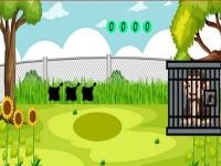 Jeu mobile Rescue the monkey 2