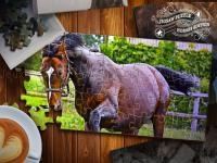 Jeu mobile Jigsaw puzzle horses edition