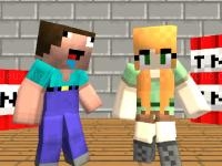 Steve vs alex
