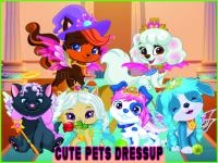 Jeu mobile Cute pets summer dress up