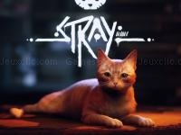 Jeu mobile Stray