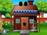 Jeu mobile Rescue the pirate parrot
