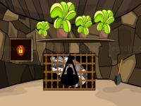 Jeu mobile Rescue the raccoon