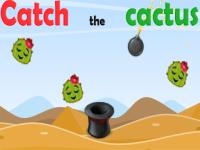 Jeu mobile Catch the cactus