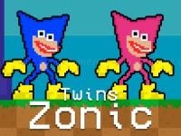Jeu mobile Twins zonic