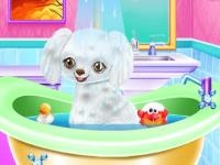 Jeu mobile My new poodle friend