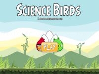 Jeu mobile Science birds