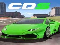 Racing car dual control