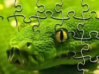 Snakes jigsaw puzzle