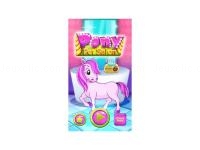 Pony salon