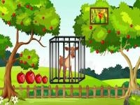 Jeu mobile G2m deer escape