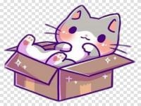 Animals box 2022