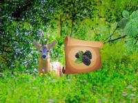 Jeu mobile Return to alsunga forest