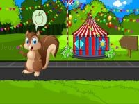 Feed the squirrel