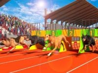 Jeu mobile Dog run 3d