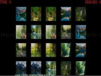 Jeu mobile Memorize nature