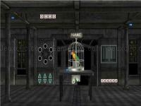 Jeu mobile Parrots escape