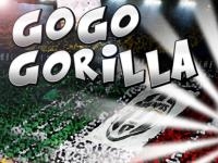 Jeu mobile Go go gorilla
