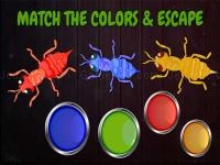 Jeu mobile Ants: tap tap color ants