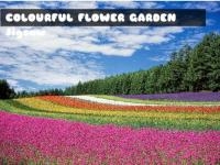 Jeu mobile Colourful flower garden jigsaw