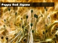 Jeu mobile Poppy bud jigsaw