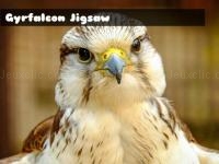 Jeu mobile Gyrfalcon jigsaw
