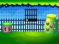 Jeu mobile Rainbow valley escape