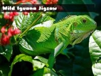Jeu mobile Wild iguana