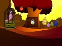 Jeu mobile Pink bird rescue