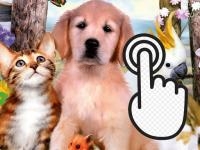 Jeu mobile Pets clicker