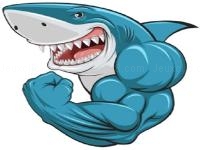 Jeu mobile Mads shark