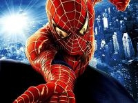 Spider man warrior