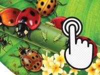Jeu mobile Ladybug clicker