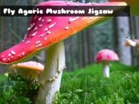 Fly agaric mushroom
