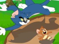 Jeu mobile Tom and jerry in cooperation
