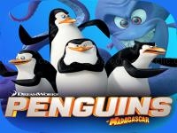 Jeu mobile Combat penguin shooter