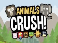 Jeu mobile Animal crush match