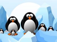 Jeu mobile Penguin slide puzzle