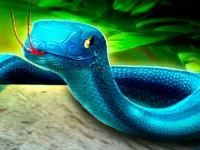 Jeu mobile Snake puzzle 3d