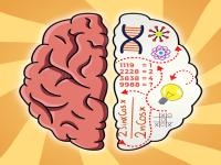Jeu mobile Brain hack