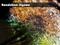 Jeu mobile Dandelion jigsaw