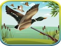 Jeu mobile Jack the hunter duck shooting hunting dog sniper