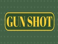 Gun shoot hd