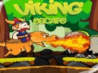 Viking dragons