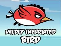 Mildly infuriated bird