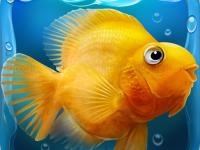 Fish tank aquarium