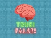 Jeu mobile True or false quiz