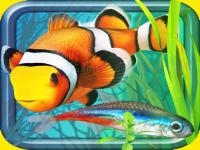 Jeu mobile Fish farm - aquarium simulator