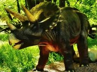 Jeu mobile Triceratops dinosaur puzzle