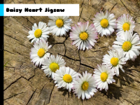 Daisy heart jigsaw